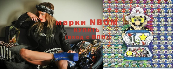 гашик Бородино