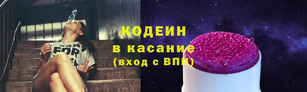 гашик Бородино