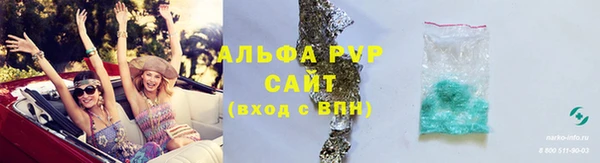 гашик Бородино