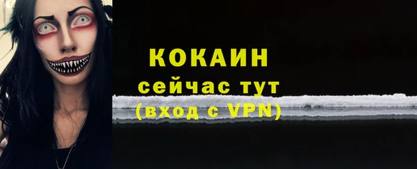 гашик Бородино