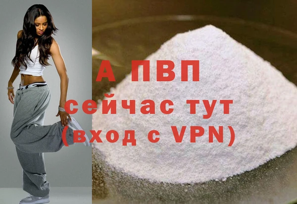 гашик Бородино