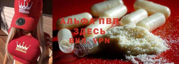 гашик Бородино